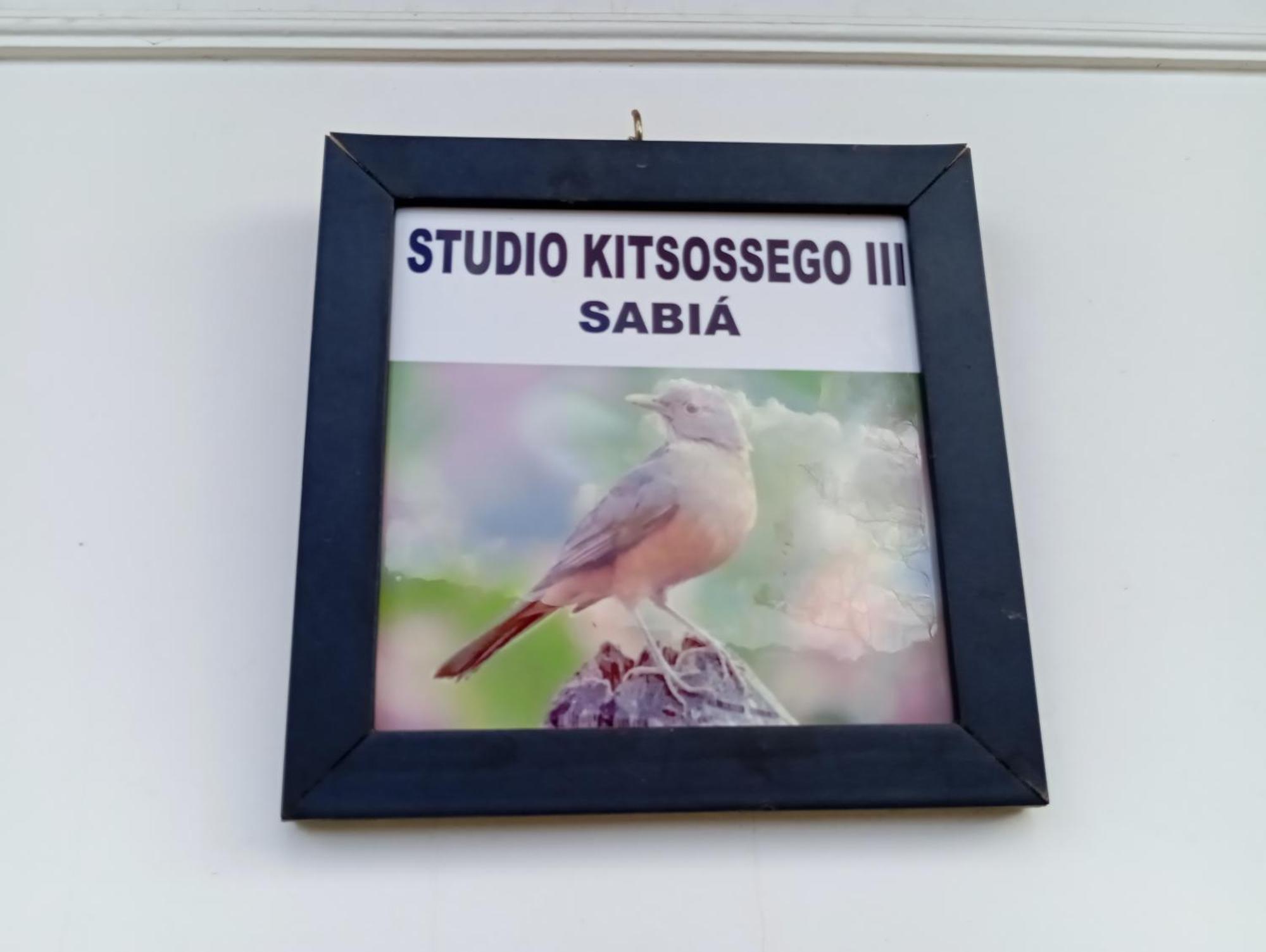 קוריטיבה Studio Kitsossego מראה חיצוני תמונה